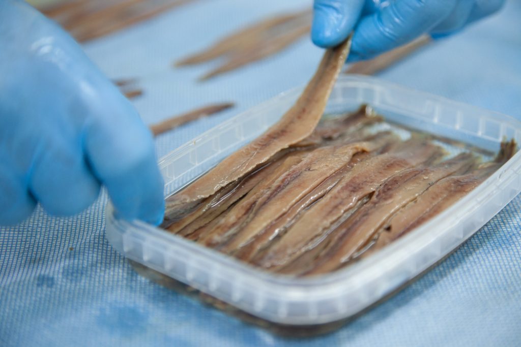 Elaboración artesanal de anchoas del Cantábrico Aquí Santoña, sin espinas y bajas en sal