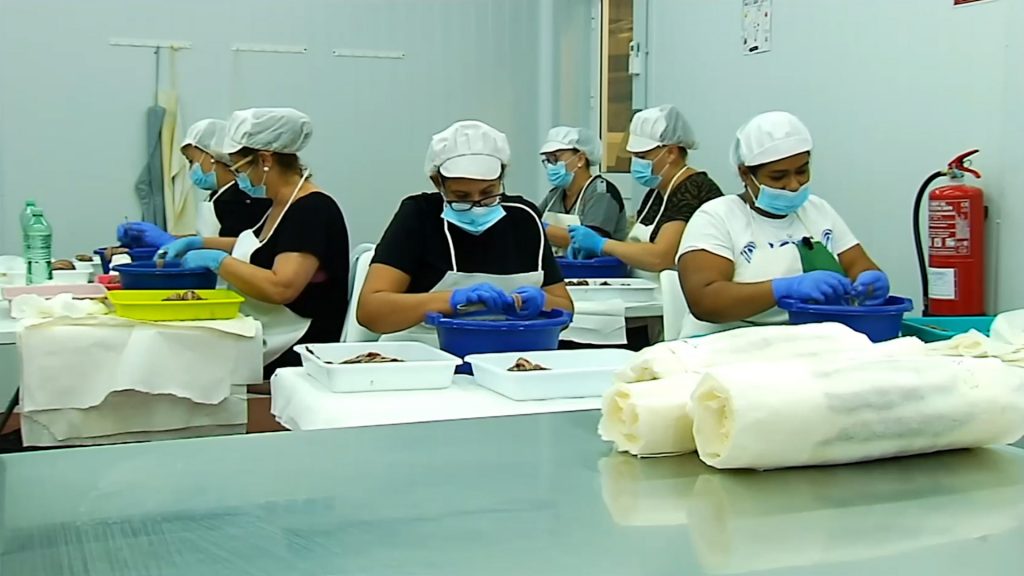 Trabajadores Aquí Santoña